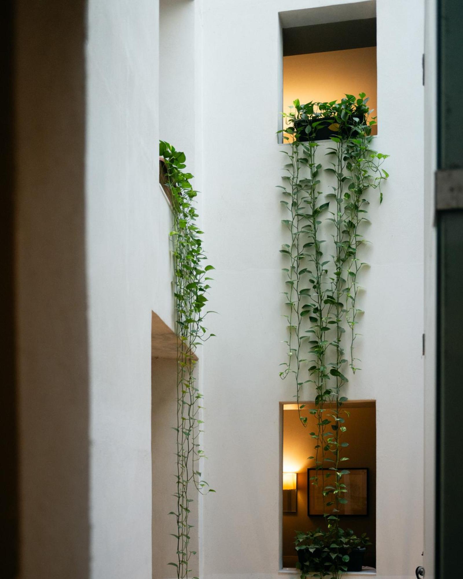 Hotel Ramblas Internacional Barcelona Ngoại thất bức ảnh